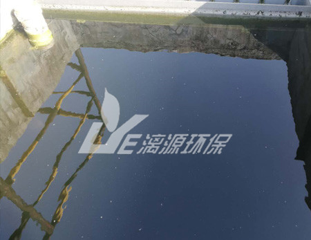 化工污水處理的污泥脫水技術(shù)有哪些？