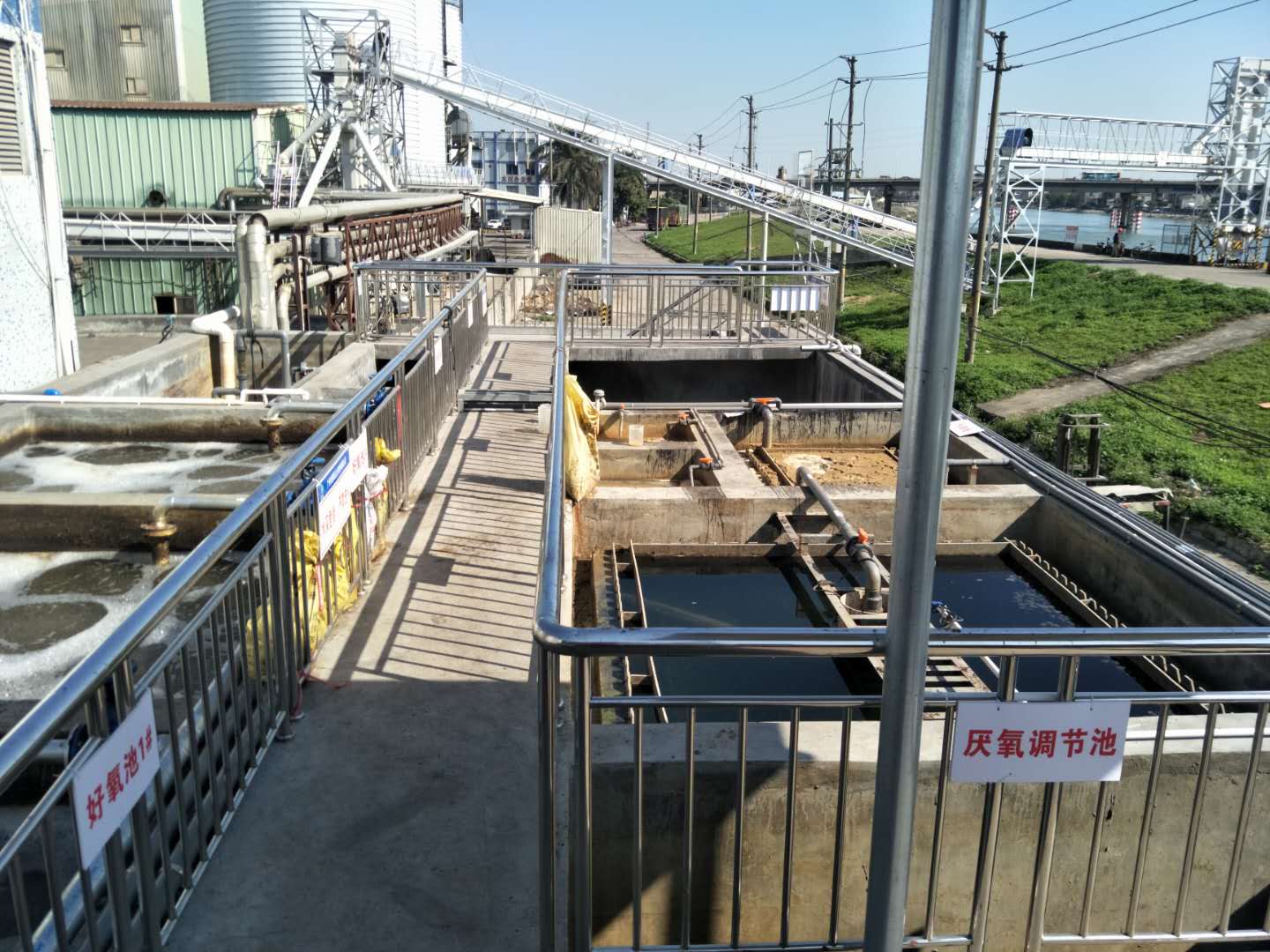 食品廢水植物處理技術，你知道嗎？
