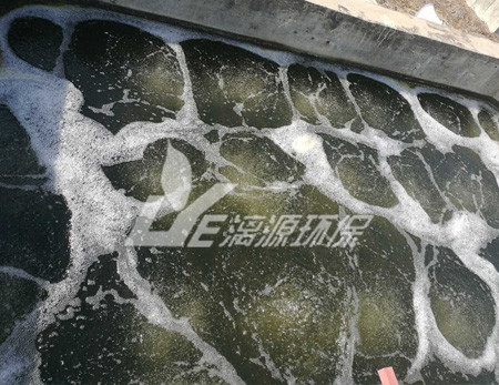 畜禽養(yǎng)殖廢水處理技術分析